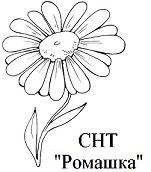 снт.jpg